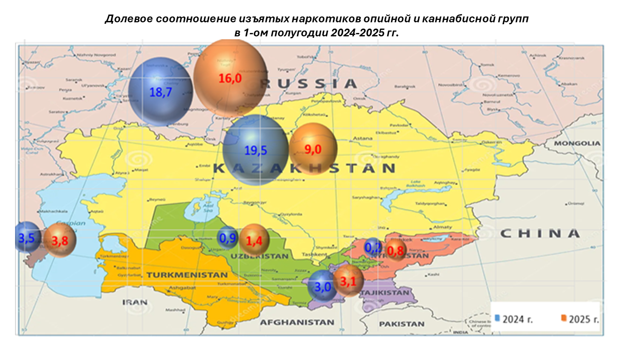Долевое соотношение изъятых наркотиков опийной и каннабисной групп  в 1-ом полугодии 2024-2025 гг.