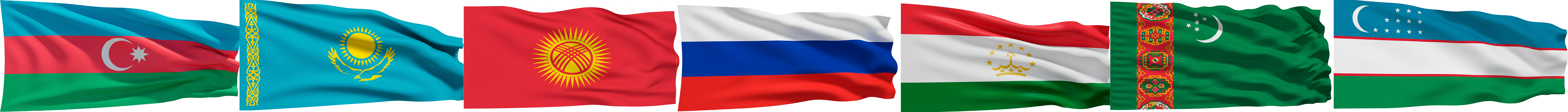 Флаги государств - участников